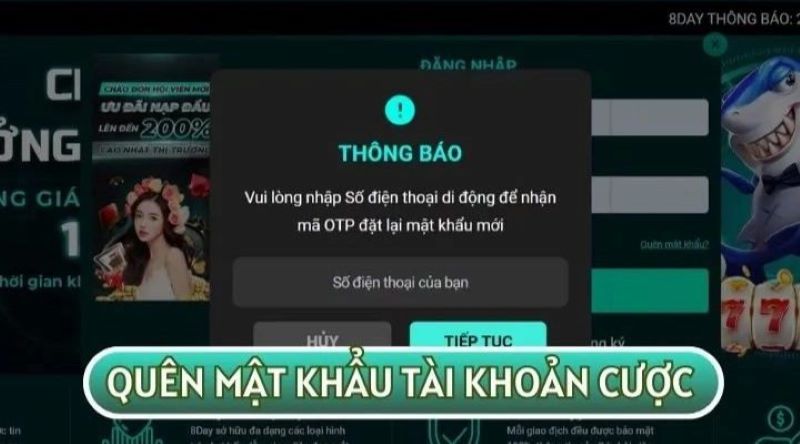 Trường hợp quên mật khẩu tại Vuabai 9 